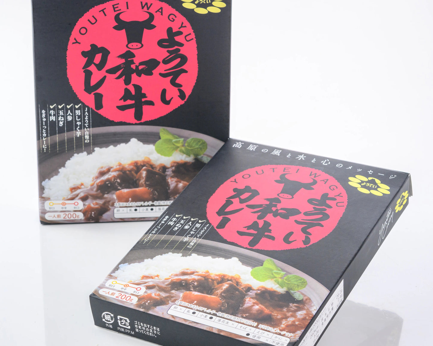 ニセコのレトルトカレー