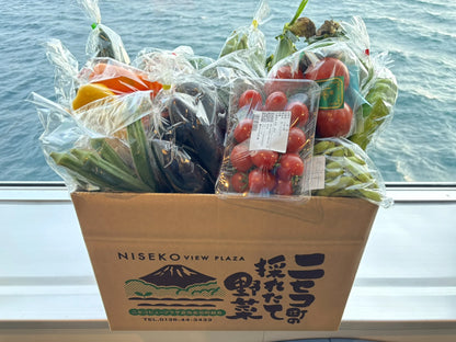 ニセコビュープラザ直売会の箱に詰められた夏野菜