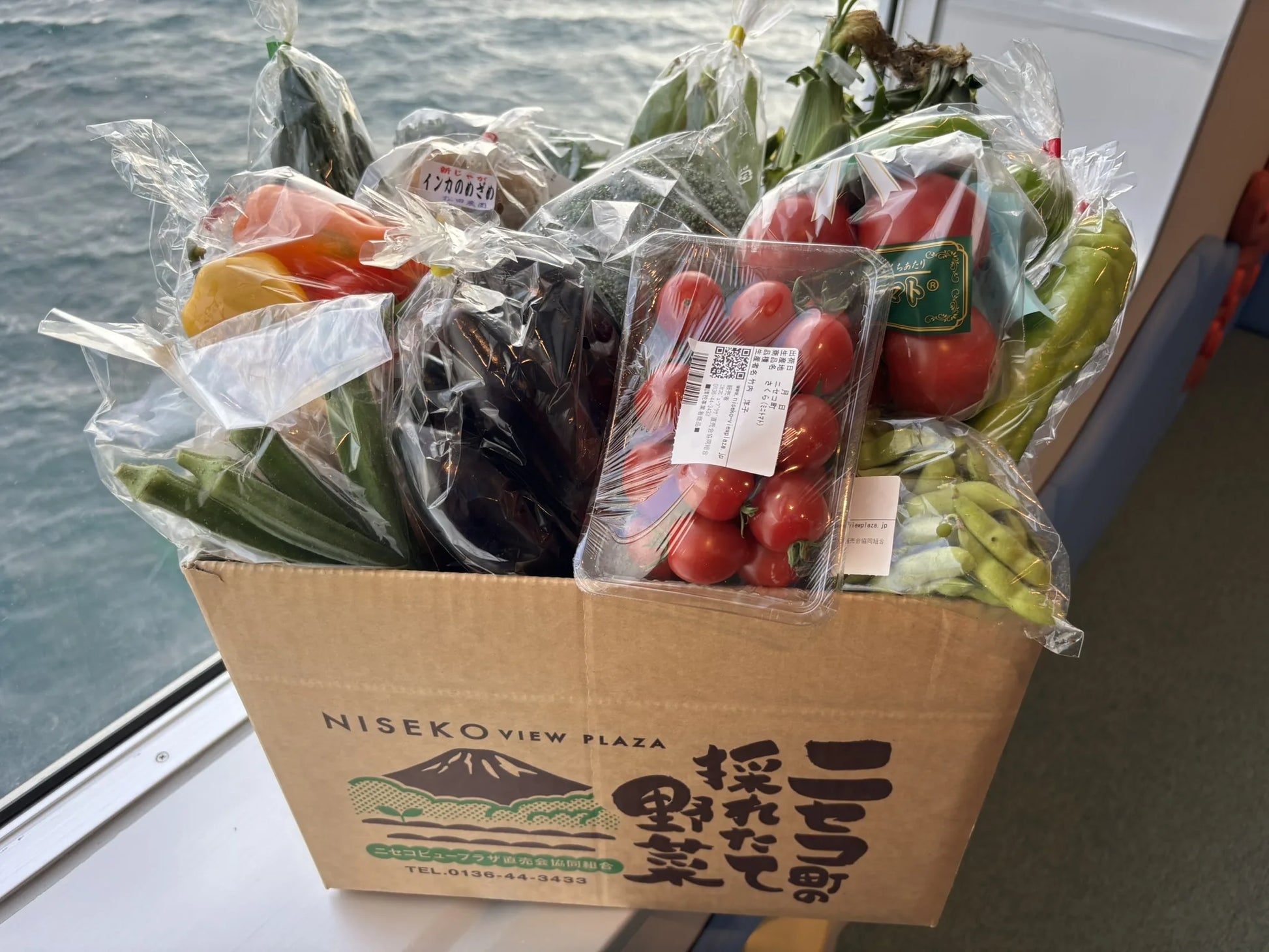 夏野菜を詰めたニセコ町の採れたて野菜の箱