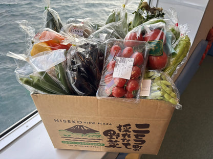 夏野菜を詰めたニセコ町の採れたて野菜の箱