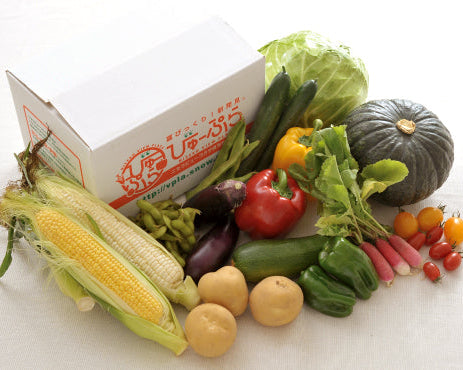 ニセコ　夏の野菜セット